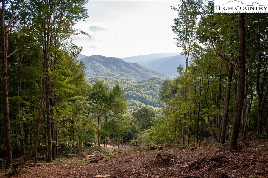 104 Bear Paw Road, Elk Park, NC 28622 - Image #3