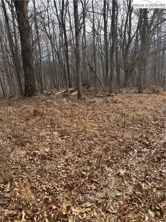 TBD Pioneer Ridge, Piney Creek, NC 28663 - Image #1