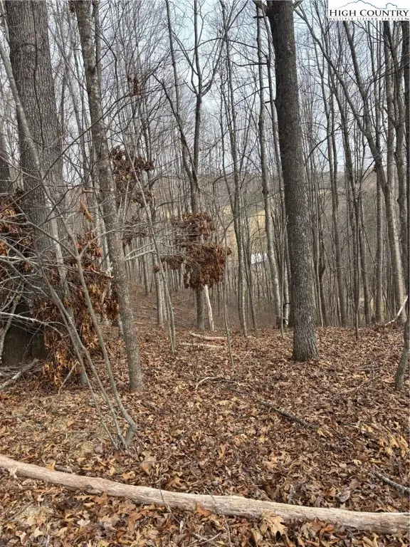 TBD Pioneer Ridge, Piney Creek, NC 28663 - Image #3