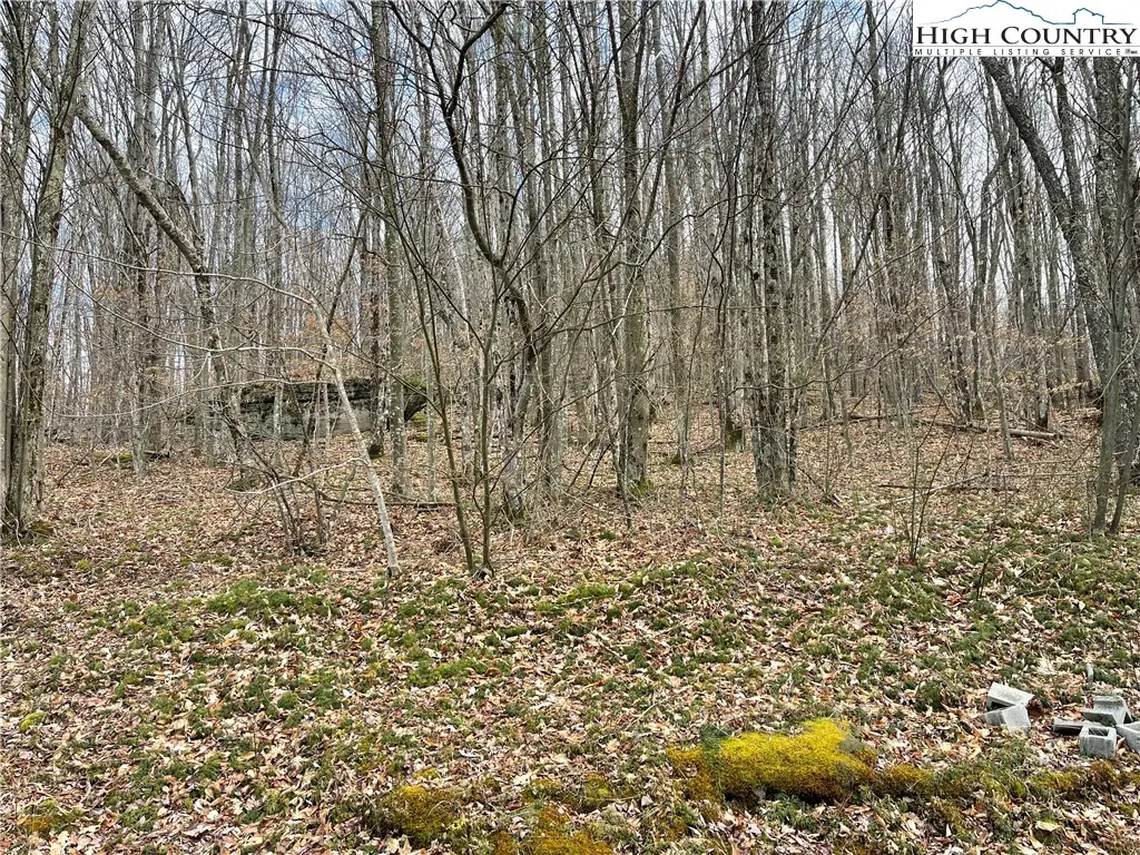 215 Wild Daisy Lane, Beech Mountain, NC 28604 - #1