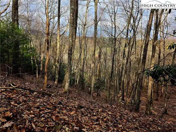 Lot 15 Riverstone, Laurel Springs, NC 28644