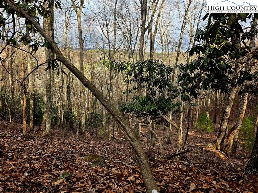 Lot 15 Riverstone, Laurel Springs, NC 28644 - Image #2