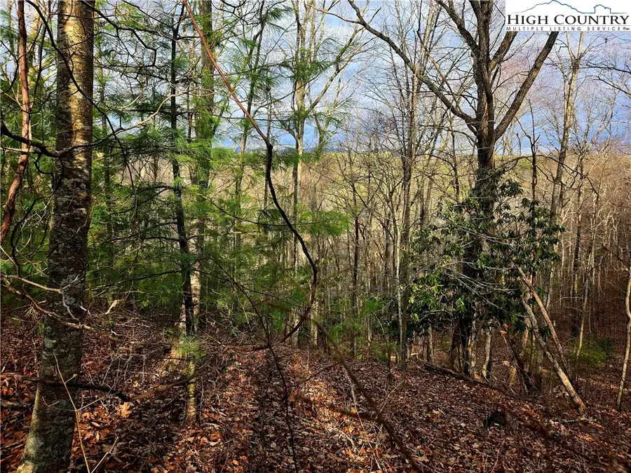Lot 15 Riverstone, Laurel Springs, NC 28644 - Image #3