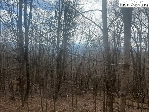 TBD Rainbow Ridge Road, Zionville, NC 28698