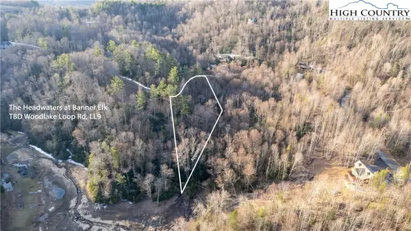 TBD Woodlake Loop Road #LL9, Elk Park, NC 28622