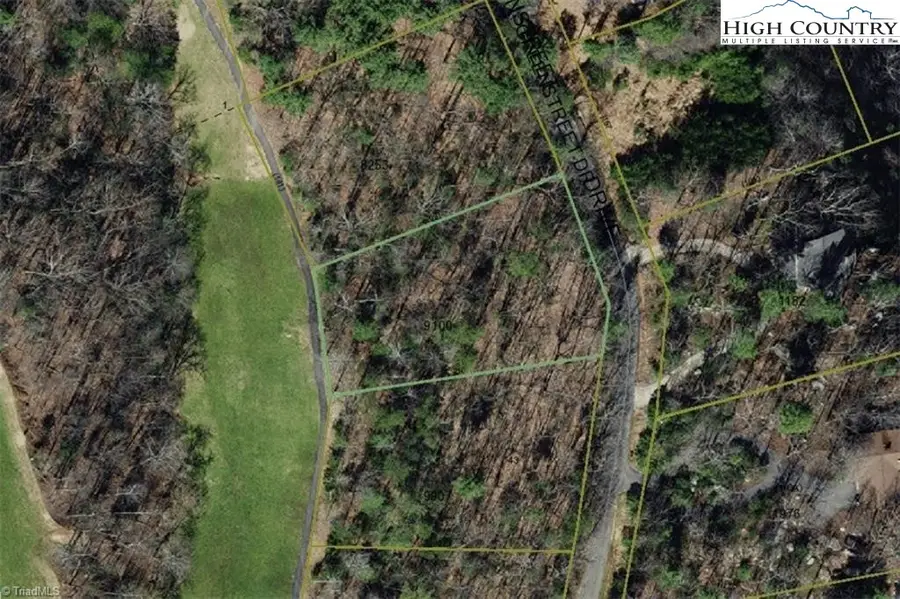 Lot 42 Greenstreet Drive, Traphill, NC 28685 - Image #2
