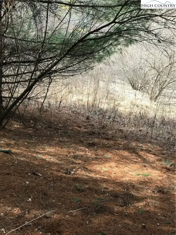 TBD Deer Path Road, Crumpler, NC 28617