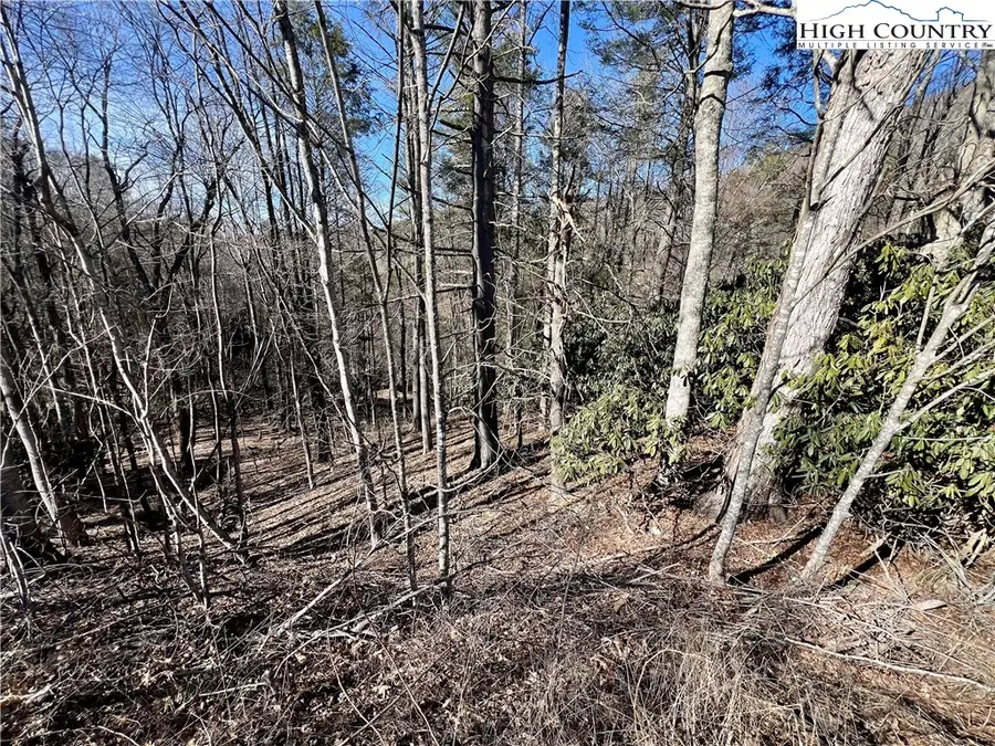 tbd N 321 Highway, Sugar Grove, NC 28679 - Image #3