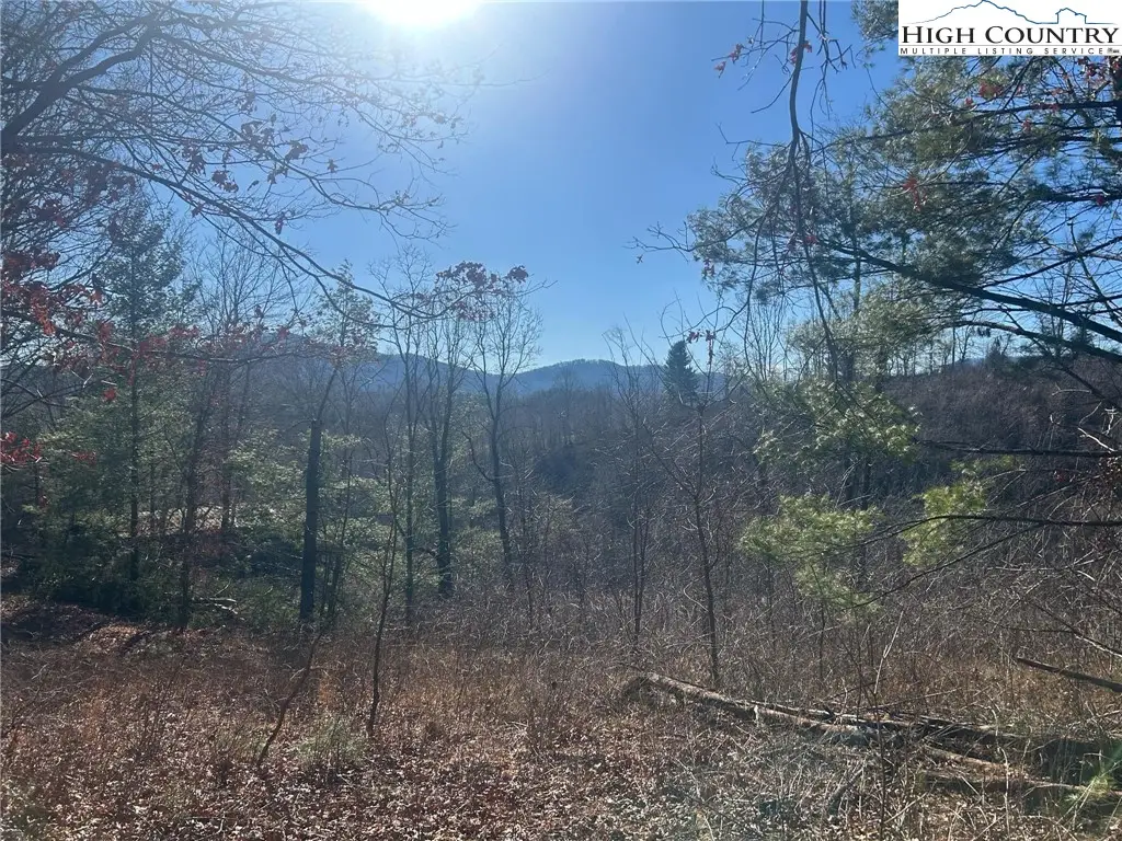 7889 Old Highway 16, Crumpler, NC 28617 - Image #1