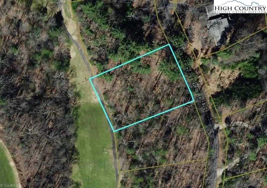 lot #41 Greenstreet Drive, Traphill, NC 28685 - Image #2