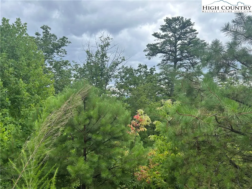 tbd Lobelia Lane, Boone, NC 28607 - Image #1