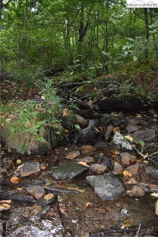 tbd Little Fawn Lane, Sparta, NC 28675 - Image #1