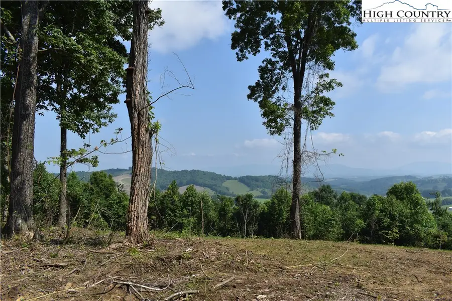 tbd Little Fawn Lane, Sparta, NC 28675 - Image #2