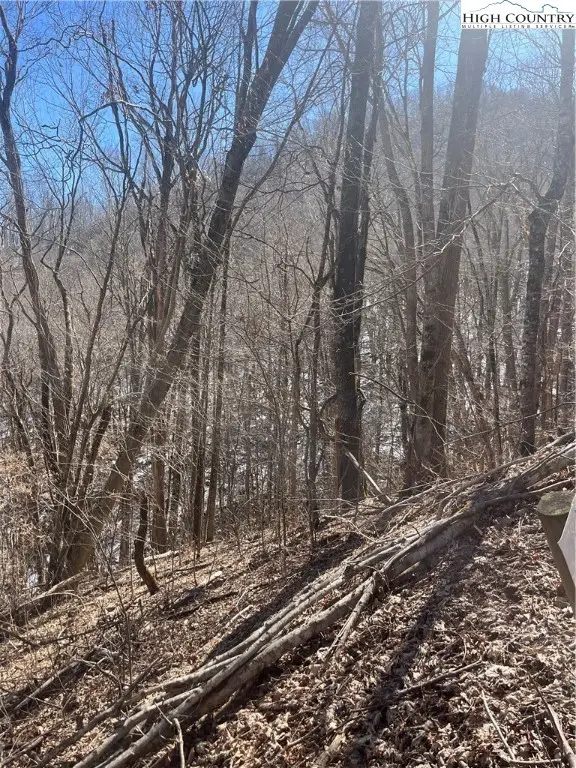 Lot 24 Jewel Weed, Newland, NC 28657 - Image #3