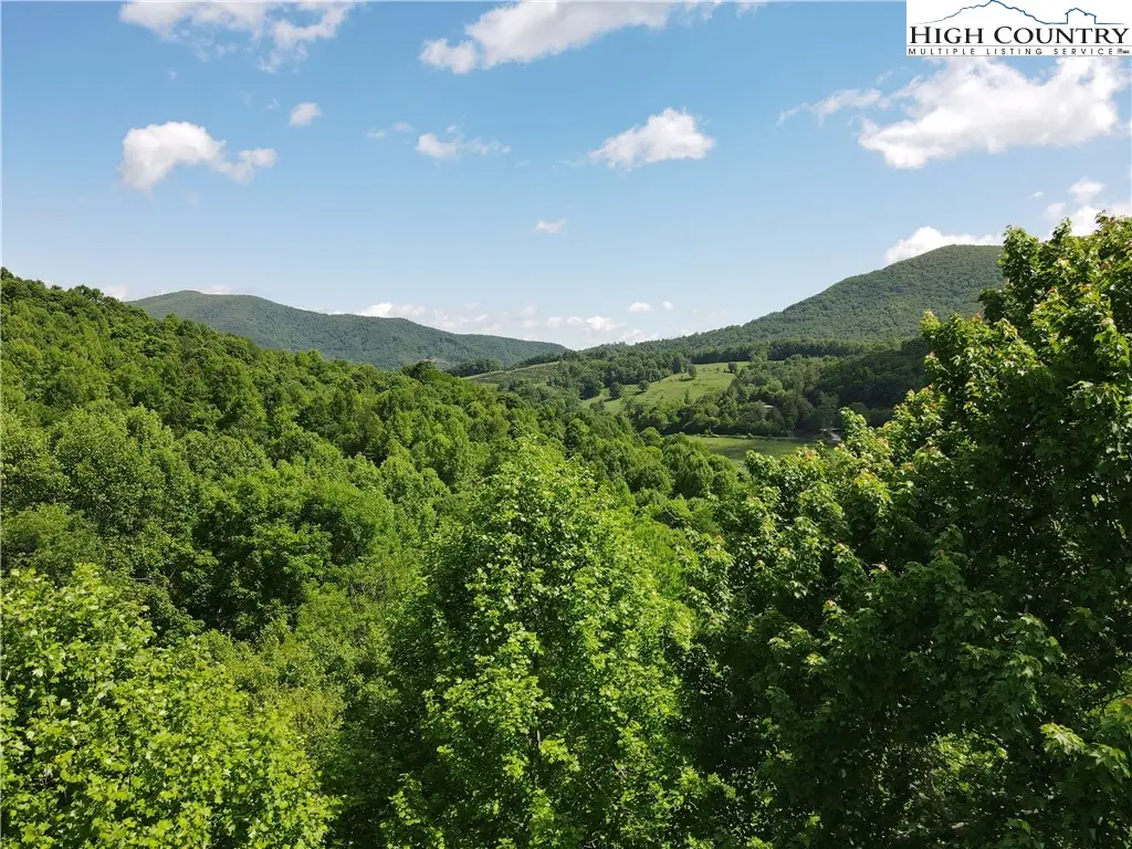 TBD Bluff Canyon Drive, West Jefferson, NC 28694 - Image #1