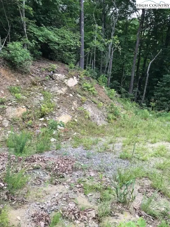 TBD Sheets Gap Road, Union, NC 28654 - Image #1