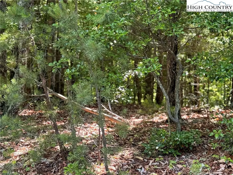 133 Steeple Chase Trail, McGrady, NC 28649 - #2