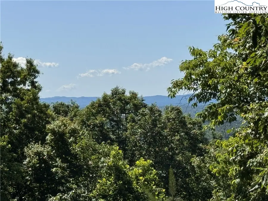 133 Steeple Chase Trail, McGrady, NC 28649 - #3