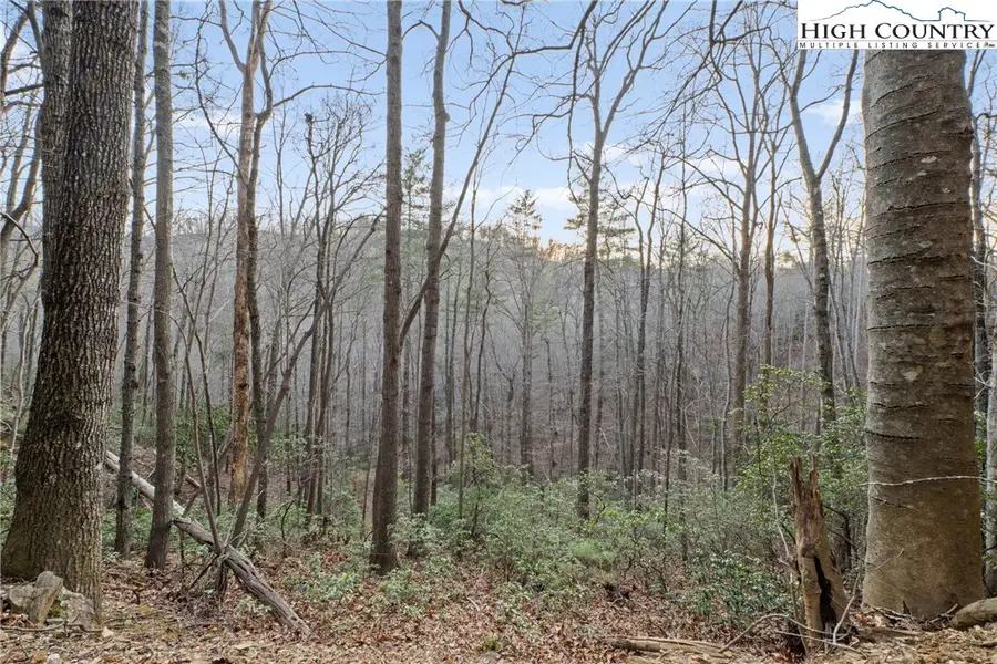 Lot 530 Roca Vista Drive, Lenoir, NC 28645 - #2