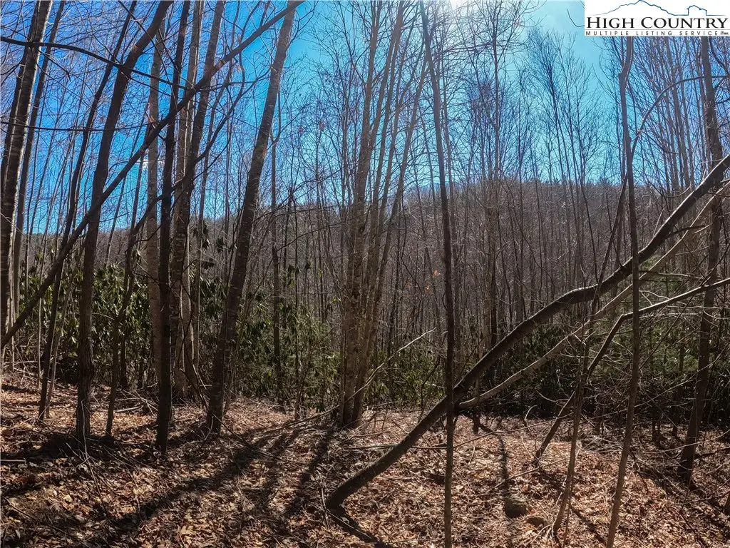 Lot 99 Beaver Dam Road, Elk Park, NC 28622 - Image #1