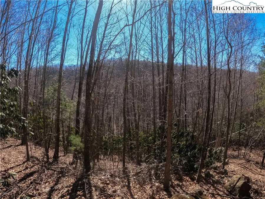 Lot 99 Beaver Dam Road, Elk Park, NC 28622 - Image #2