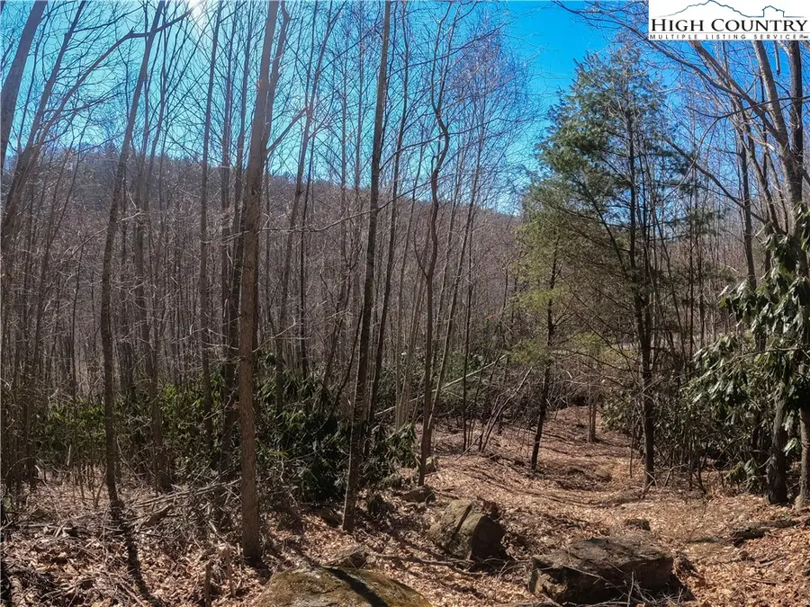 Lot 99 Beaver Dam Road, Elk Park, NC 28622 - Image #3