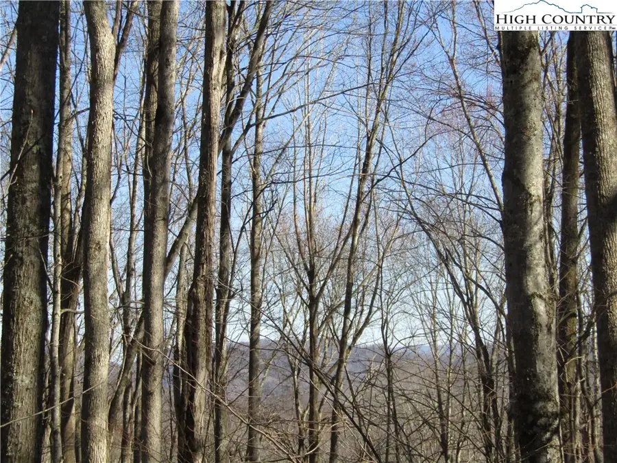 000 Tater Hill Road, Zionville, NC 28698 - Image #3