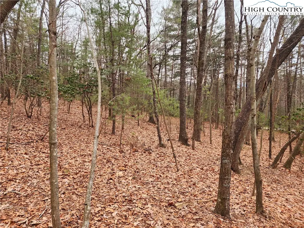 149 Sutter's Ridge Road, McGrady, NC 28649 - Image #1