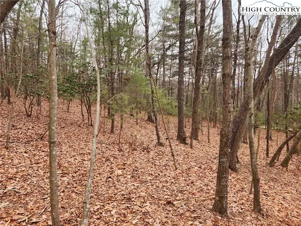 149 Sutter's Ridge Road, McGrady, NC 28649