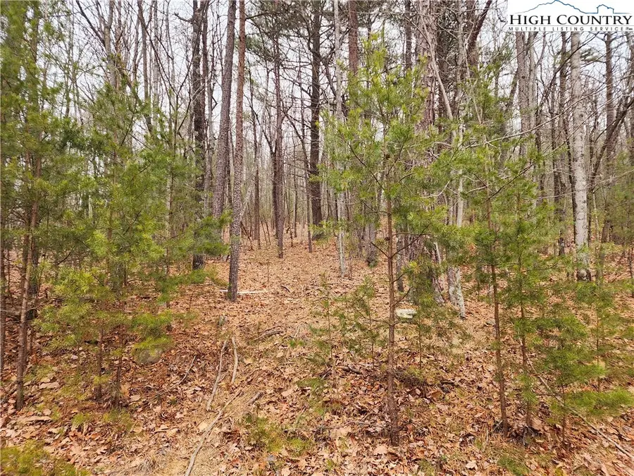 149 Sutter's Ridge Road, McGrady, NC 28649 - Image #2