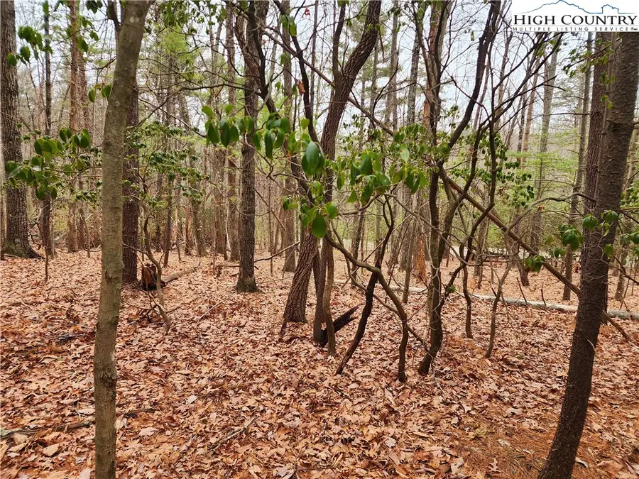 149 Sutter's Ridge Road, McGrady, NC 28649 - Image #3