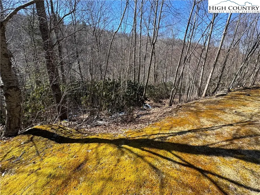 Lot 46 Falls Creek Parkway, Elk Park, NC 28622 - Image #2