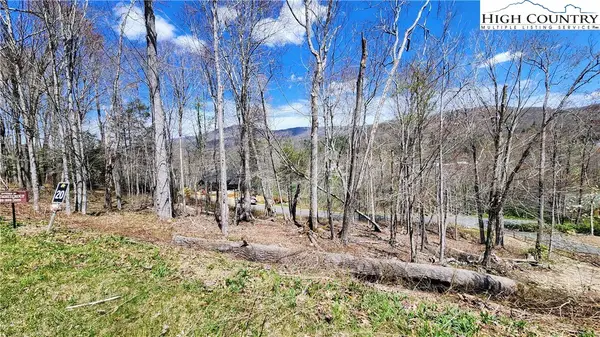 Lot 20 Running Bear Circle, Banner Elk, NC 28604