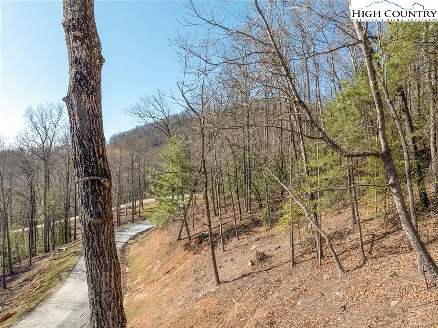 Lot 54 Wildcat Wilderness Parkway, Deep Gap, NC 28618 - Image #3