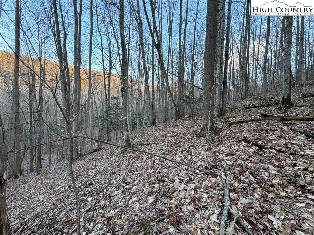 Lot 3 Buckeye Ridge Road, Beech Mountain, NC 28604 - Image #1