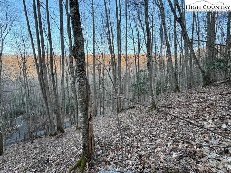 Lot 3 Buckeye Ridge Road, Beech Mountain, NC 28604 - Image #3