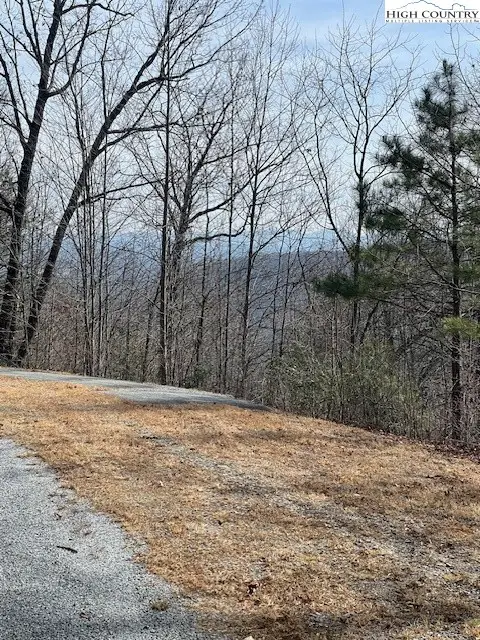 81 Elk Horn Road, Ferguson, NC 28624