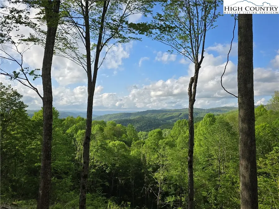 18 Honeysuckle Drive, Elk Park, NC 28622 - Image #3