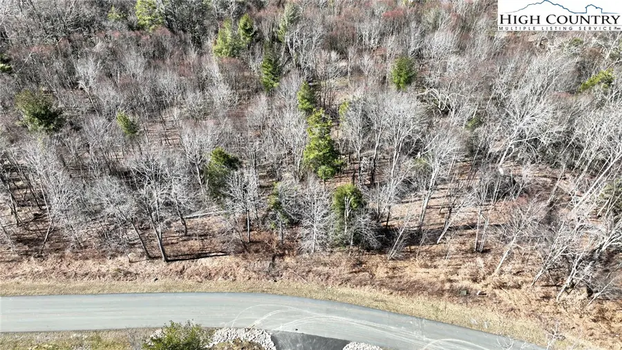 N-68 Eagle Pass Drive, Banner Elk, NC 28604 - Image #3