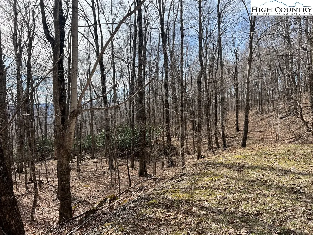 unk Maple Branch Road, West Jefferson, NC 28694 - Image #1