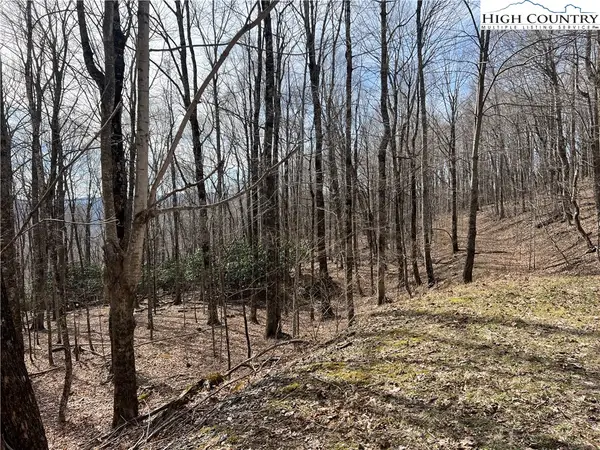 unk Maple Branch Road, West Jefferson, NC 28694