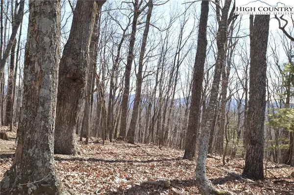 TBD Coleman Drive, Sparta, NC 28675