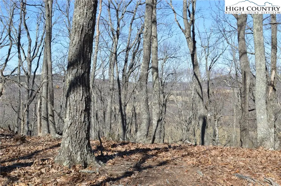 TBD Coleman Drive, Sparta, NC 28675 - Image #2