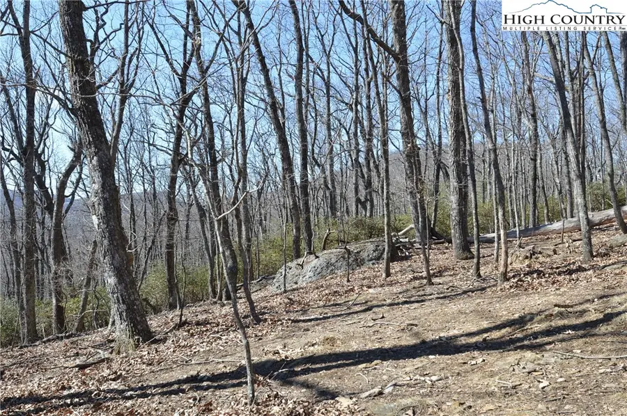 TBD Coleman Drive, Sparta, NC 28675 - Image #3