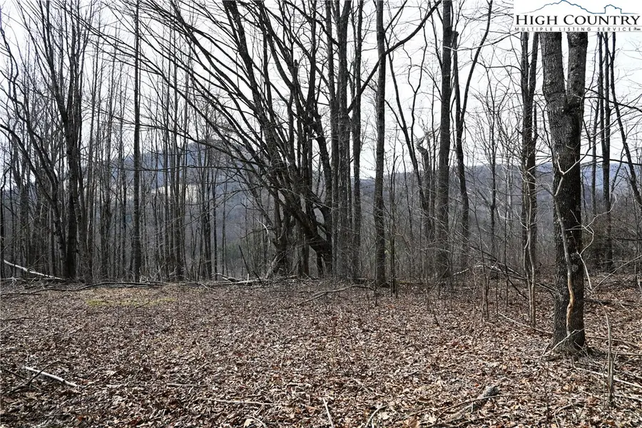 Lot #10 Solitude Lane, Todd, NC 28684 - Image #3