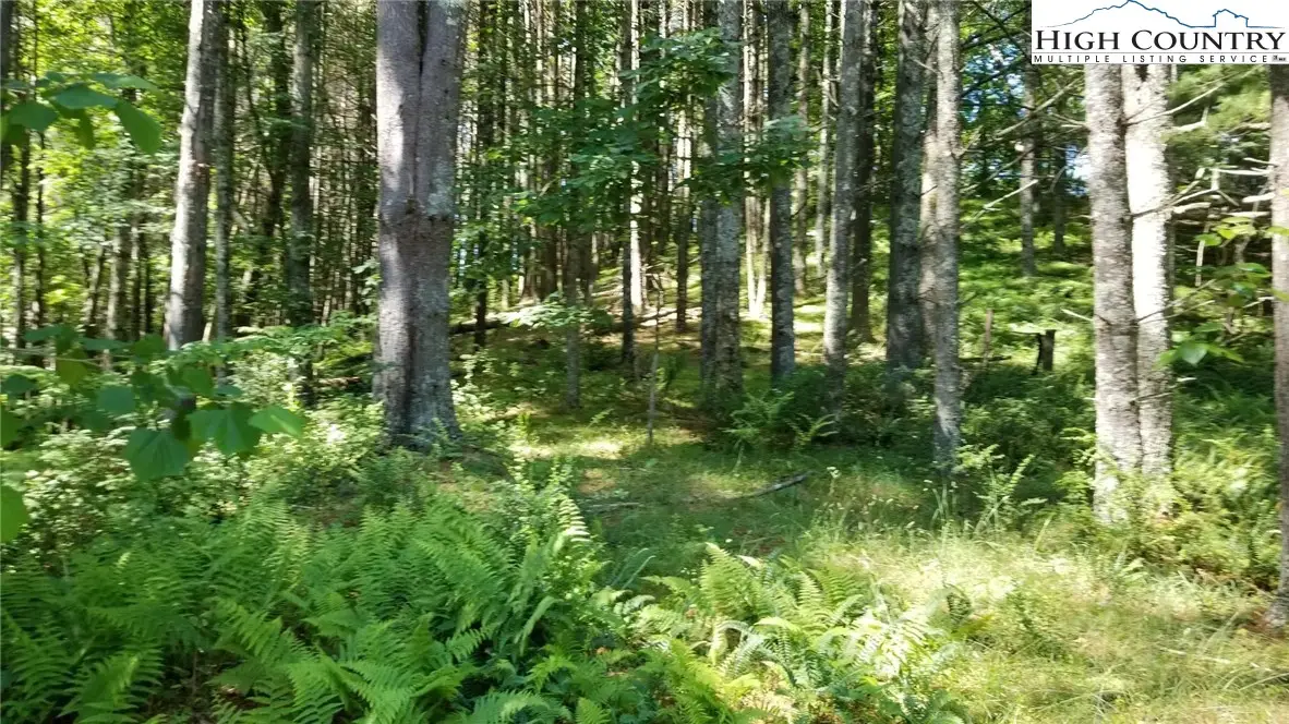 Lot 16 Woodland Drive #16, Piney Creek, NC 28663 - Image #1