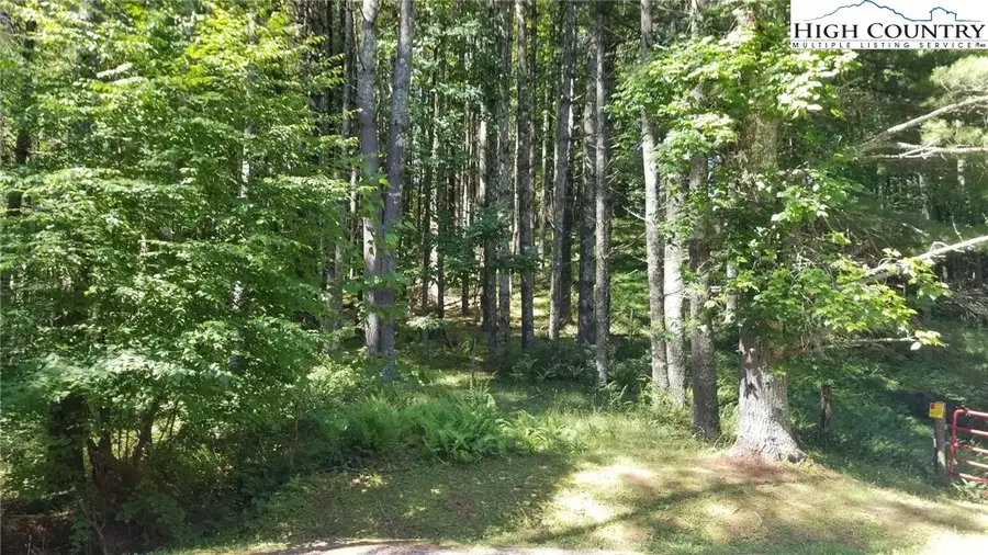 Lot 16 Woodland Drive #16, Piney Creek, NC 28663 - Image #3