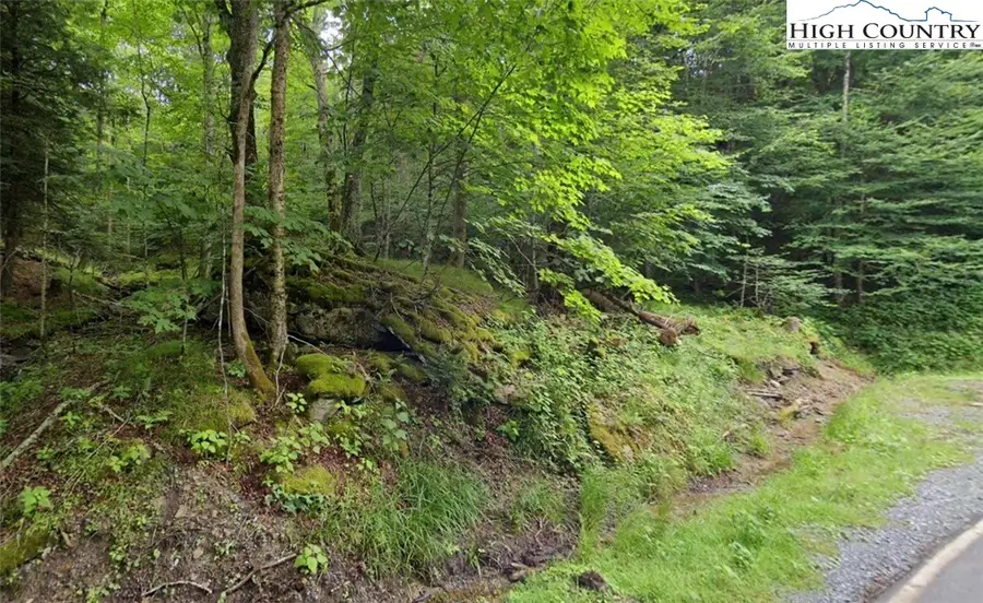 144 Hornbeam Road, Beech Mountain, NC 28604 - Image #2