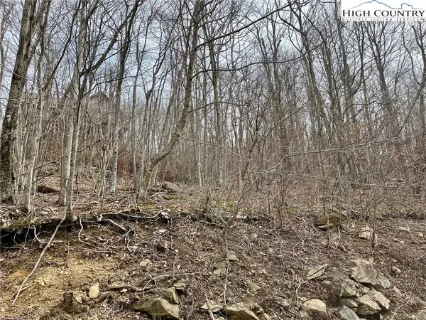 105 Thistle Lane, Beech Mountain, NC 28604