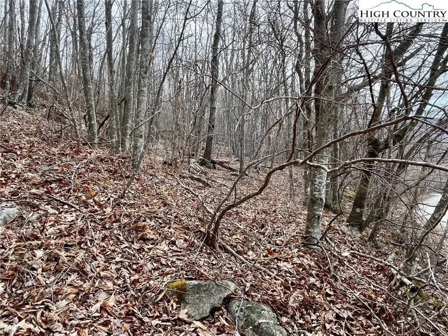 105 Thistle Lane, Beech Mountain, NC 28604 - Image #2